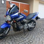 Honda Hornet 600